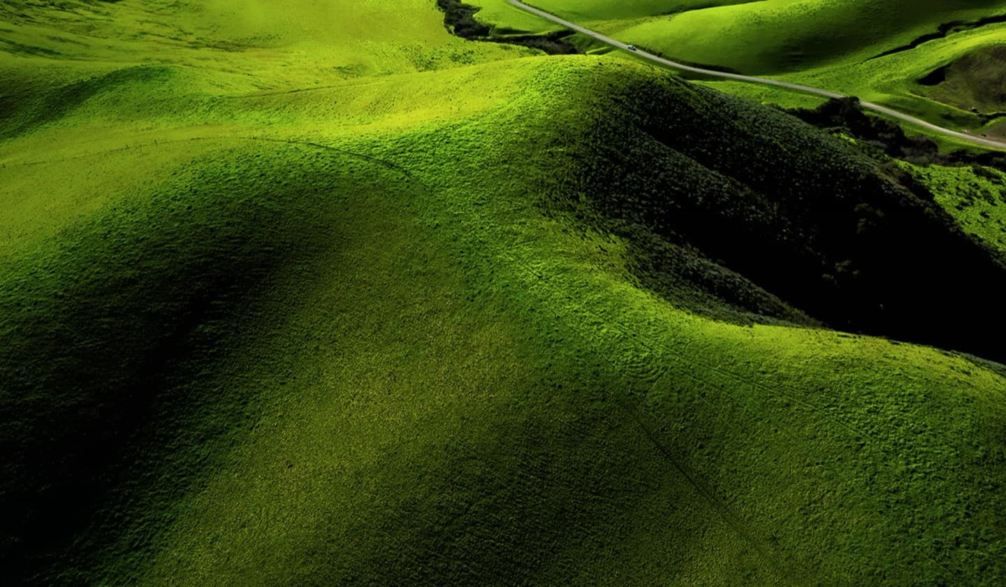 Green landscape